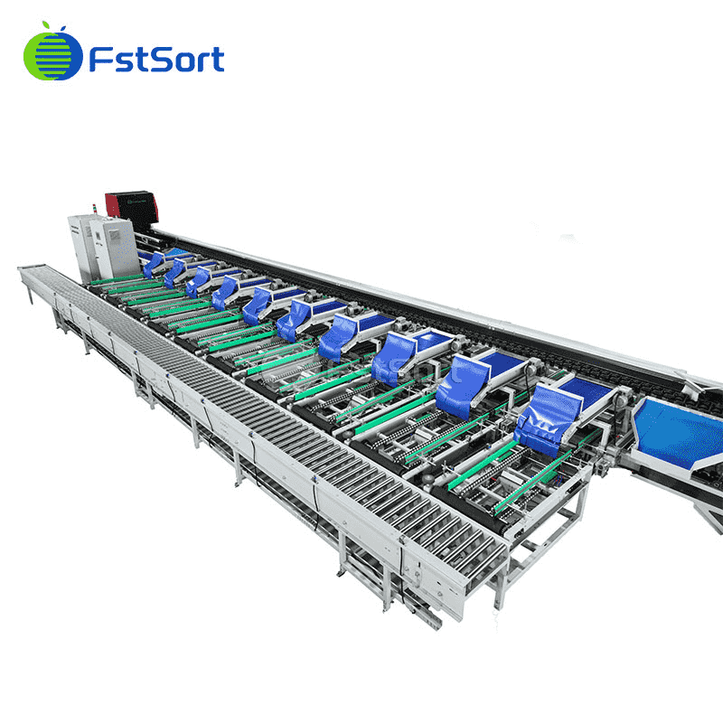 images/1770953126221Guava Sorting.png